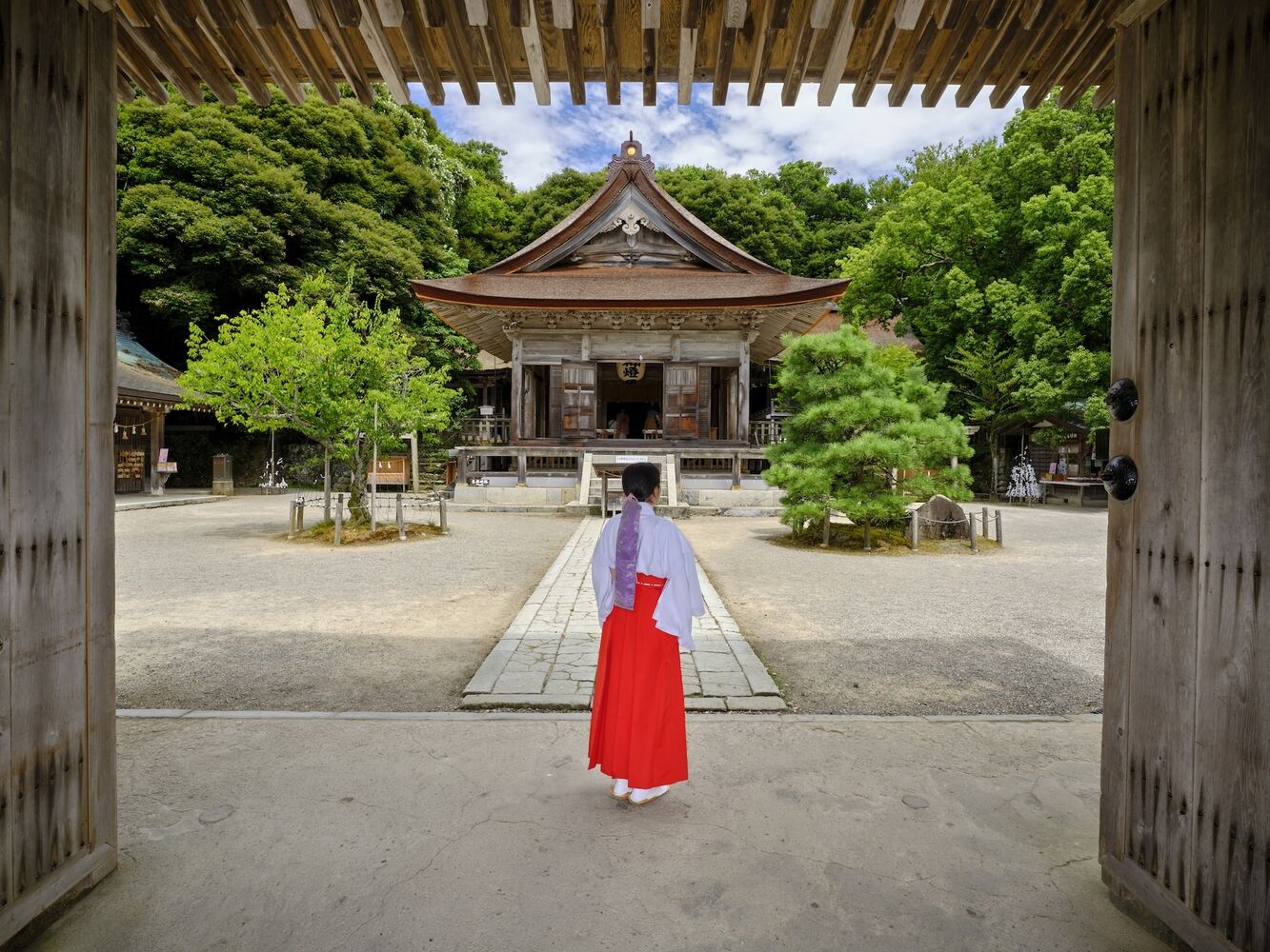 ブログ画像