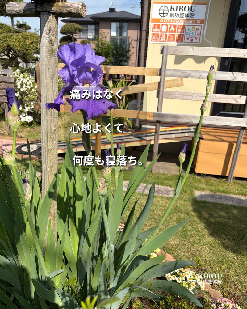 ブログ画像
